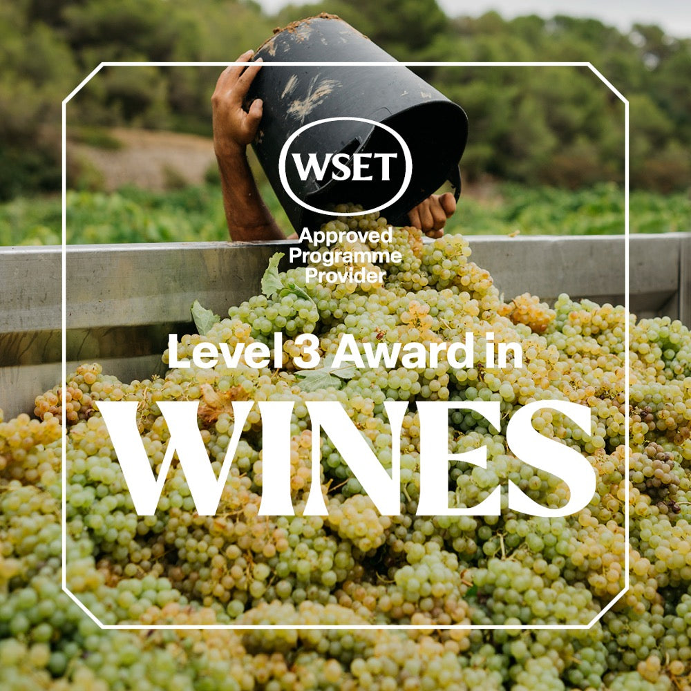 WSET Level 3 Award in Wines Miami | Florida Wine Academy