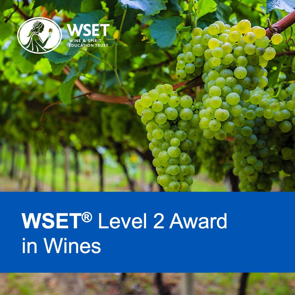 Unlock the World of Wines with WSET Level 2 at Florida Wine Academy