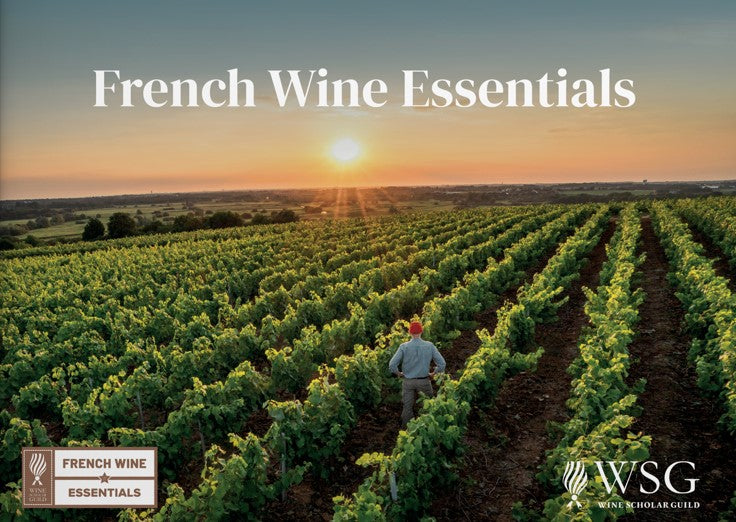 French Wine Essentials image 0