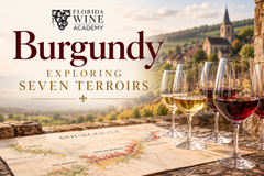 11/19 - Burgundy for the Holidays: Exploring Seven Terroirs