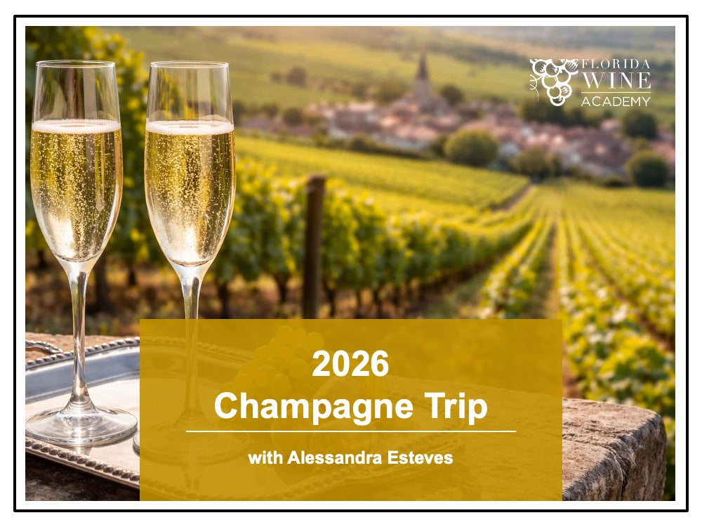 June 2026 - Champagne Trip with Alessandra Esteves