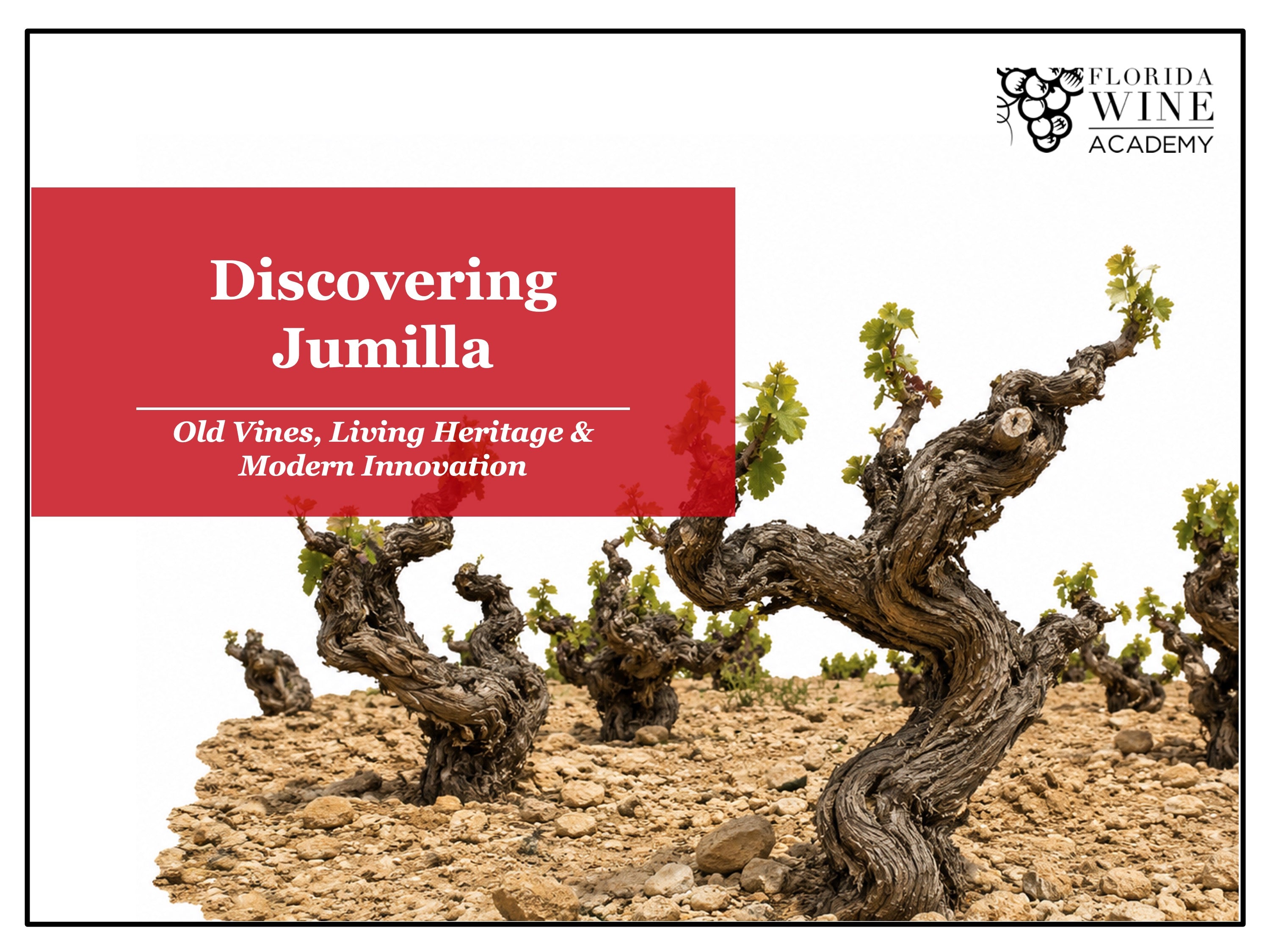 9/30 - Discovering Jumilla: Old Vines, Living Heritage & Modern Innovation