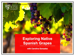 02/19 - Exploring Native Spanish Grapes
