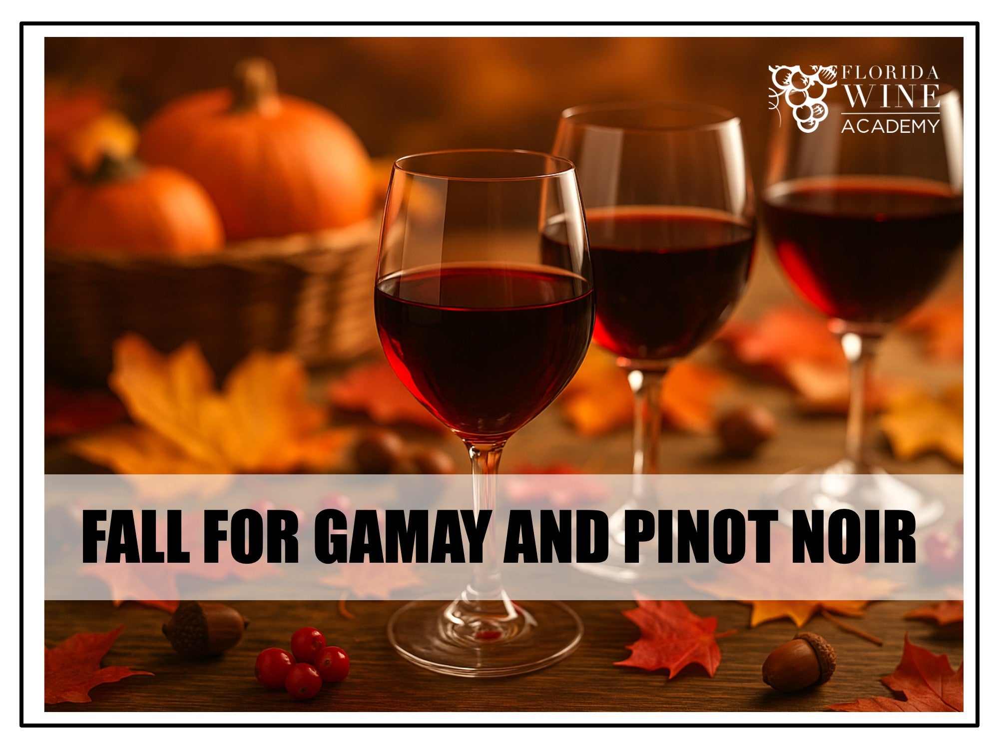 11/12 - Fall for Gamay and Pinot Noir: A Thanksgiving Pairing Class
