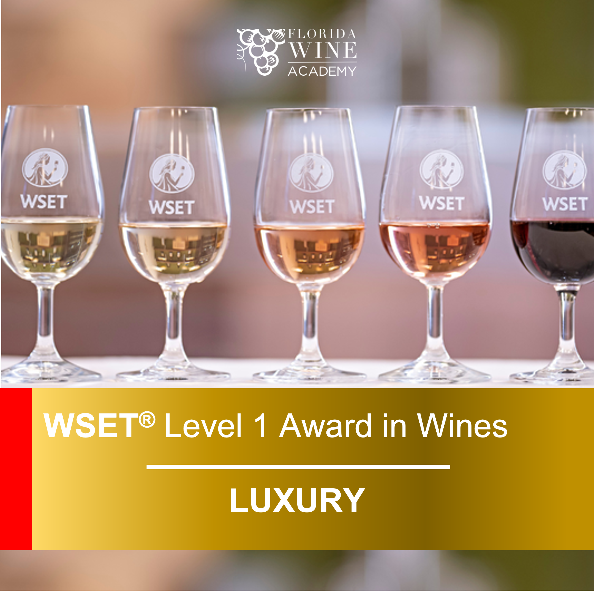 WSET Level 1 in Wines Luxury