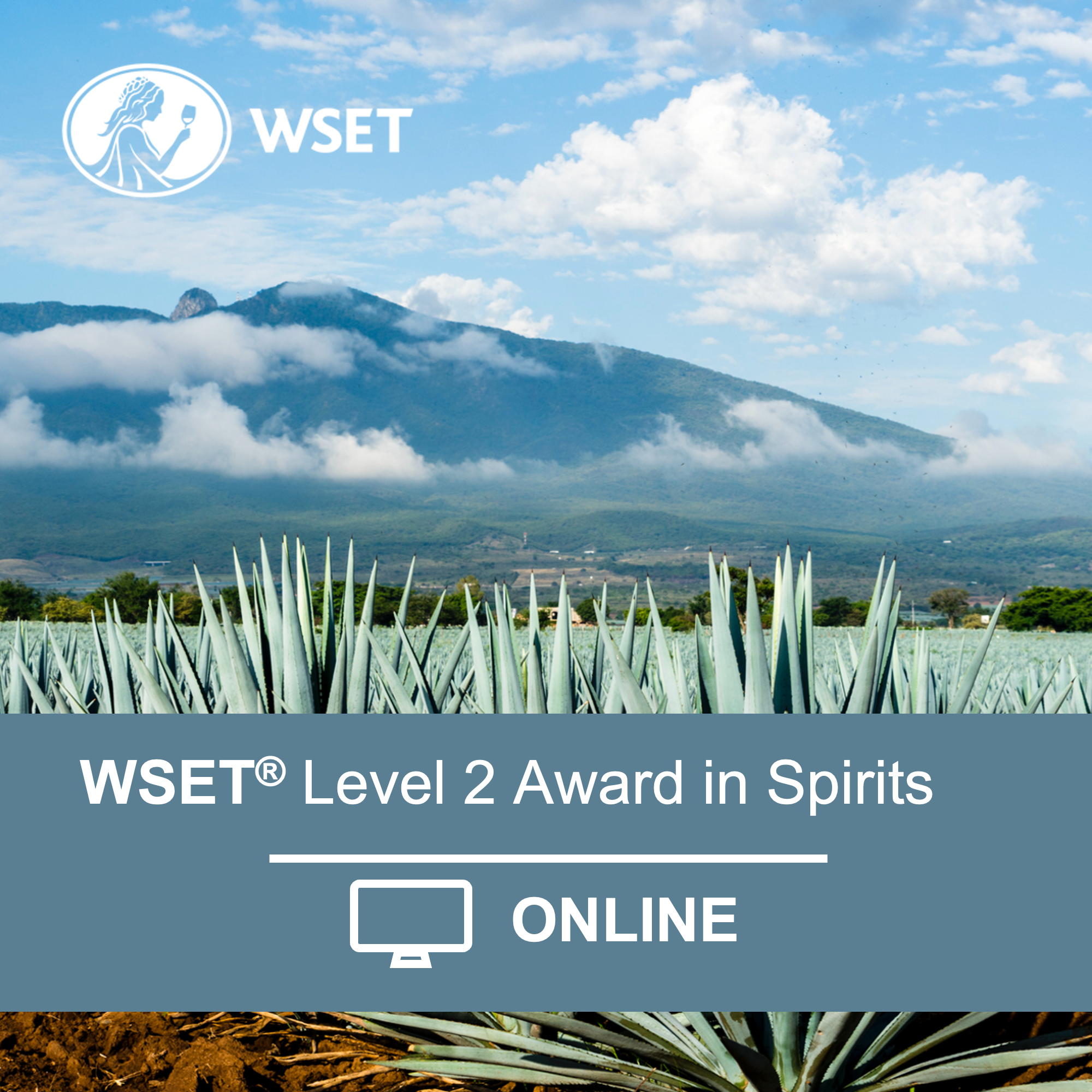 WSET Level 2 in Spirits Online