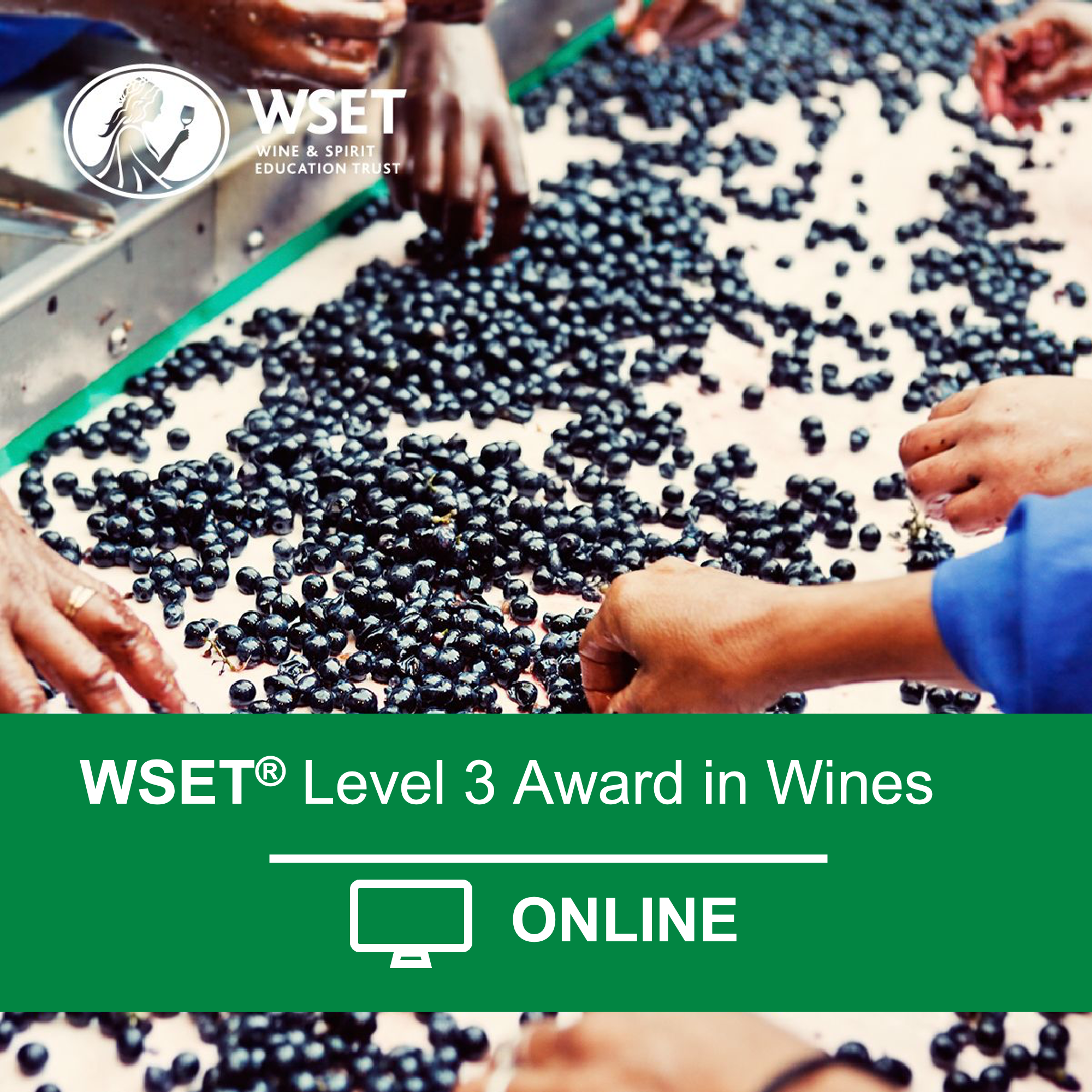 WSET Level 3 in Wines Online