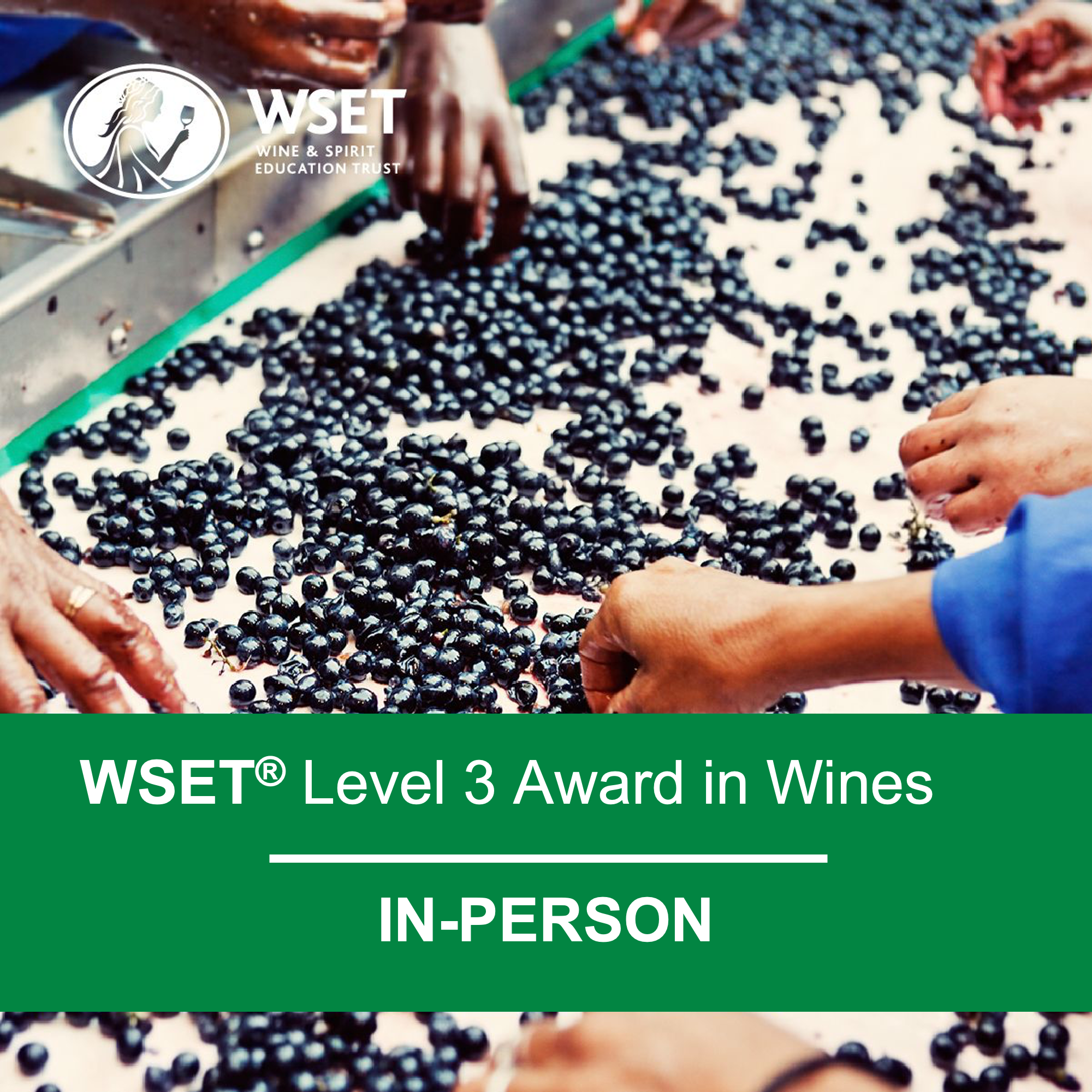 WSET Level 3 in Wines (In Person)
