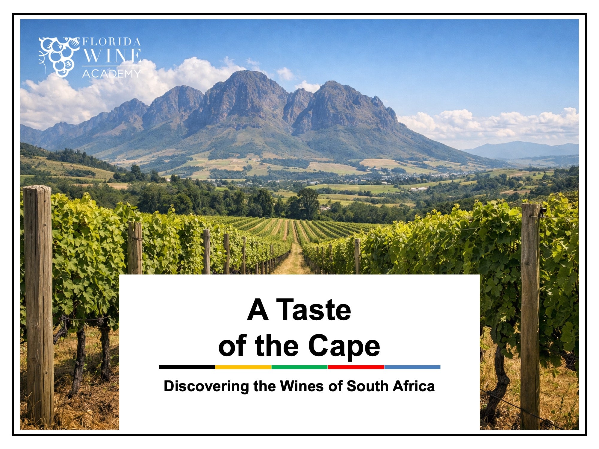 04/30 - A Taste of the Cape: Discovering the Wines of South Africa