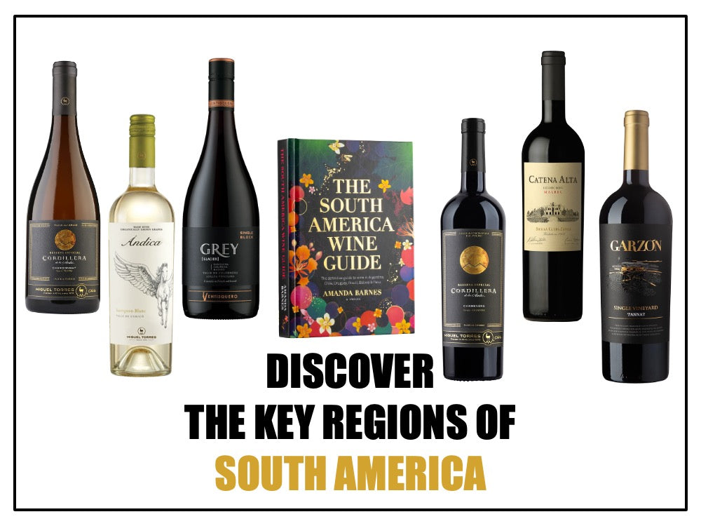 06/05 - Discover the Key Wine Regions of South America