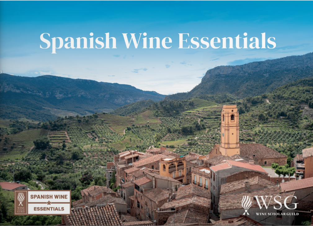 Spanish Wine Essentials