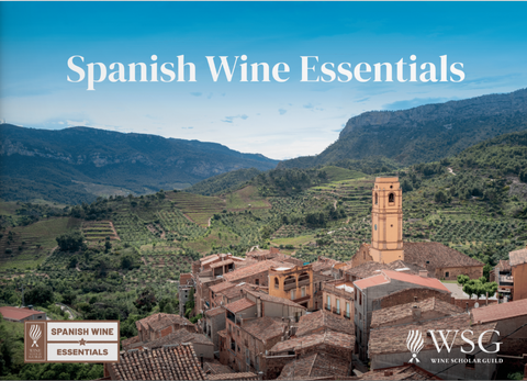Spanish Wine Essentials