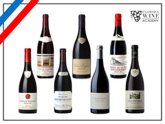 08/21 - A Terroir Study: Clos de Vougeot Grand Cru