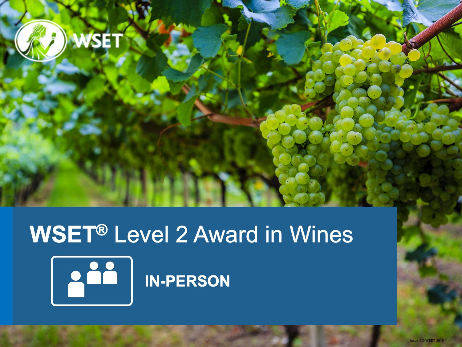 Wset 2 Course WSET Course Level 2 in Wines – Florida Wine Academy