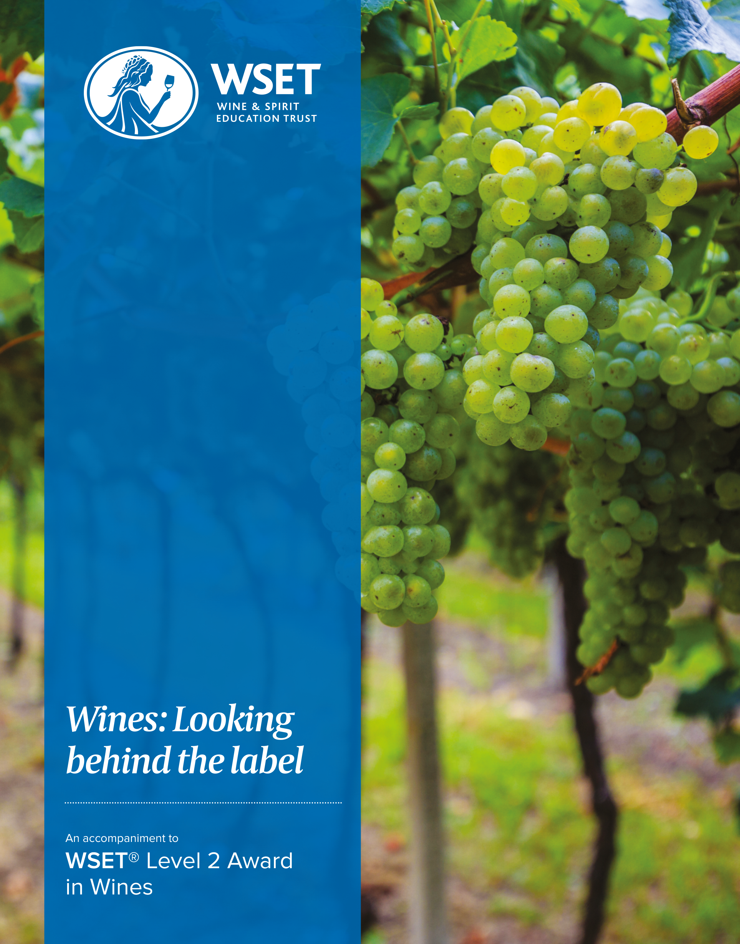 WSET Course Level 2 in Wines - English
