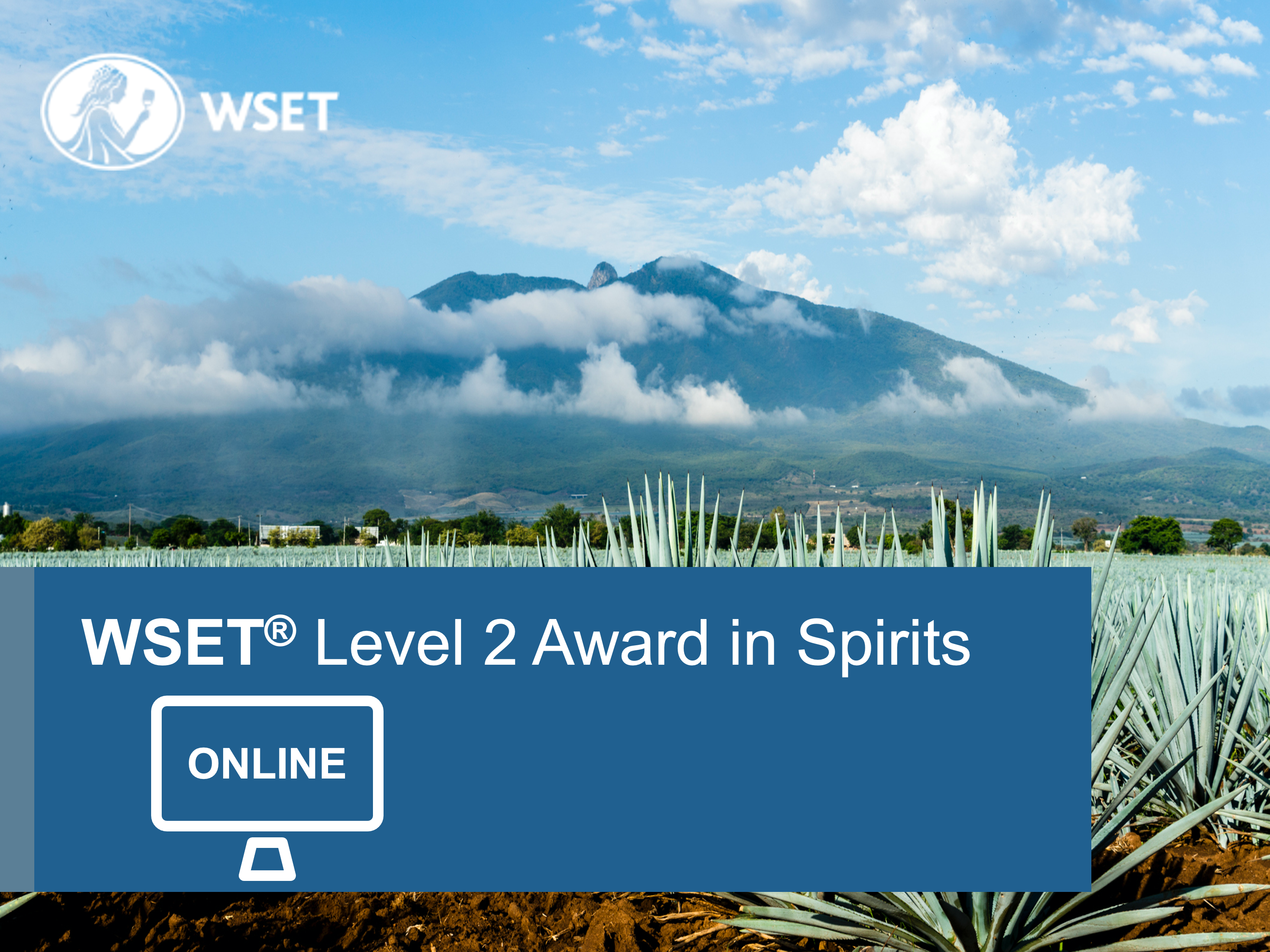 WSET Course Level 2 in Spirits Online