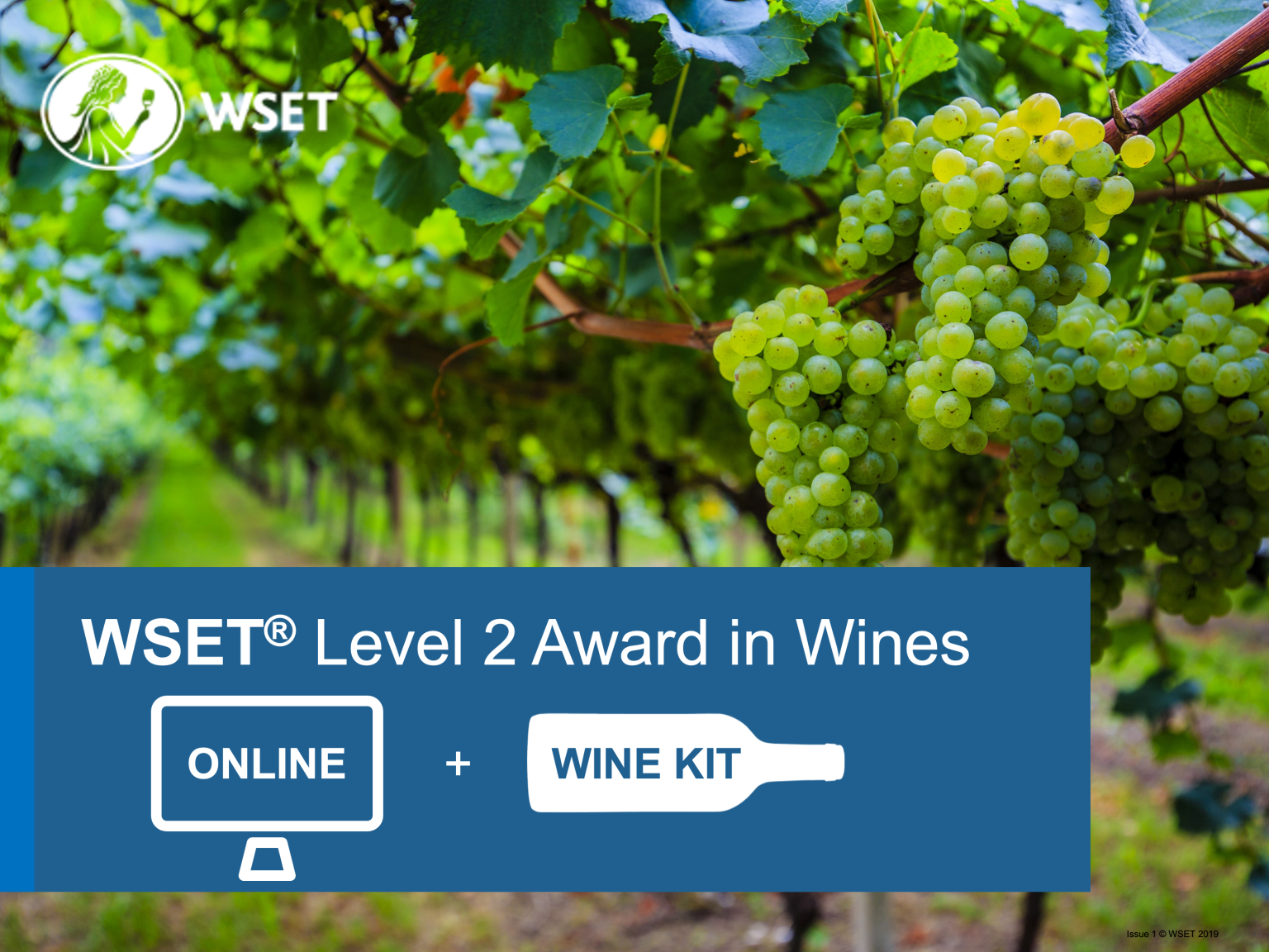 WSET Course Level 2 in Wines Online - Florida Wine Academy